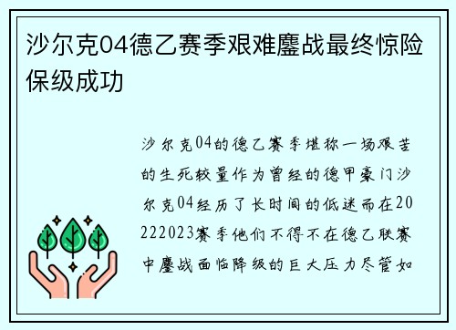 沙尔克04德乙赛季艰难鏖战最终惊险保级成功